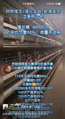 福鹿会ٶ⿵ֵƻ115ȳƶ84%