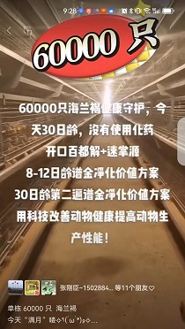  60000ֻʹ福鹿会ٶ⿵ֵƻ